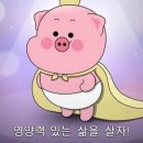 내맘을훔친고기 네이버블로그
