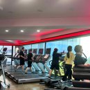 라인짐 필라테스 PT 이미지