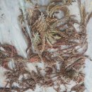 월출농장 이미지