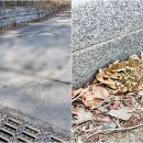 전주 두꺼비 이미지