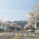 하송로 이미지