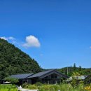 459 | 아기랑 용인카페, 묵리459 솔직후기