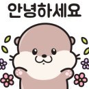 라면회소 이미지
