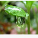 (주) 효선 이미지