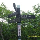 진고개약국 이미지