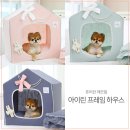 잇츠프레임 이미지