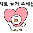 투데이지카페 이미지
