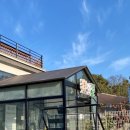 개떼월드 이미지