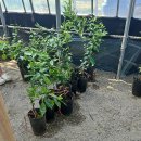 장유농장 이미지