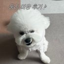 몽글몽글 이미지