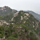 광천정기시장 이미지