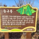 천마산 중구봉 이미지