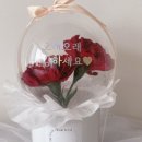 디얼투유