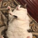 온 그루밍 이미지