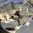 기장더워시 | 부산 기장 오션뷰 글램핑 추천 | '더무빙 카라반' 솔직 후기 (feat. 임랑 해수욕장)