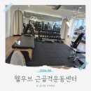 체형교정 맛집 청라재활PT 웰무브 근골격운동센터 : 허리통증 운동 후기