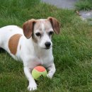 24시 산들산들 동물병원 이미지