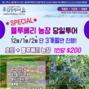 홍길동 농장 이미지