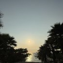 썬퓨전노래타운 | 선셋타운 버기카 포토존 키스브릿지 및 썬 바바리아...심포니오브더씨쇼&amp; 키스오브더씨쇼 투어 2탄 후기