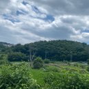 사랑채오리 | 울산 성안동 단체모임 추천 사랑채 한옥 오리고기 한식당