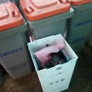 선관위 투표함이 한 아파트 음식물 쓰레기통 앞서 발견,,,, ??? 이미지