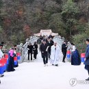 청사초롱 이미지