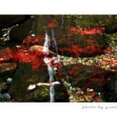 계곡수채화 이미지