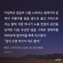 정재패션