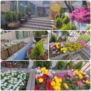 송내1동 행정복지센터 이미지