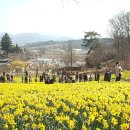 서산민박 이미지