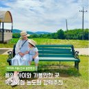 평화목장 | 용인 가볼만한 곳 농도원 목장체험 아이와 나들이 예약 가격 두돌아기 가성비 최고