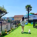 해돋이 가자 애견펜션 이미지