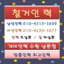 개미건설철거인력 이미지