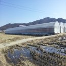 김천농협주유소 이미지