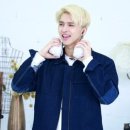 셀빅스
