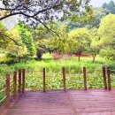 안면도자연휴양림 이미지