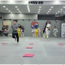 성신 태권도 이미지