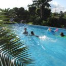 이디살래 이미지