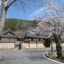 태백산맥거리 이미지