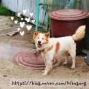 참목원식당 이미지