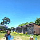 일박이일 Daum카페