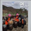 연세실버전문요양원