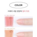 딴딴