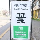 청전대로 | 식물 가득한 제천 꽃집 아말피가든 꽃다발 후기