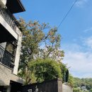 꽃담하우스 펜션 | 화담숲 근처 숙소 '꽃담하우스' 내돈내산 솔직후기