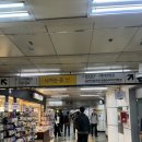 (주)도모아이디 | 아이디치과 마이트 라미네이트 직접 발품 팔아 상담 받은 후기