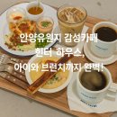 안양유원지 나들이 후 들르기 좋은 감성 브런치 카페, 힌터 하우스 방문 후기