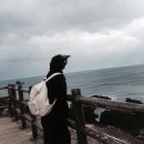 [제주도 여행] 3DAY🍃 아쿠아플라넷, 재연식당, 미엘드세화, 함덕 빨간집