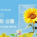 제주플라워