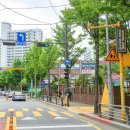 횡단보도옐로카펫 이미지